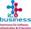 IT & Business 2013