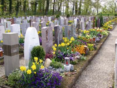 Tag des Friedhofs
